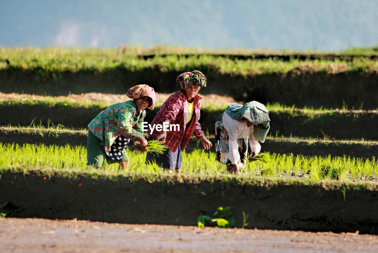 MEN WORKING IN FARM