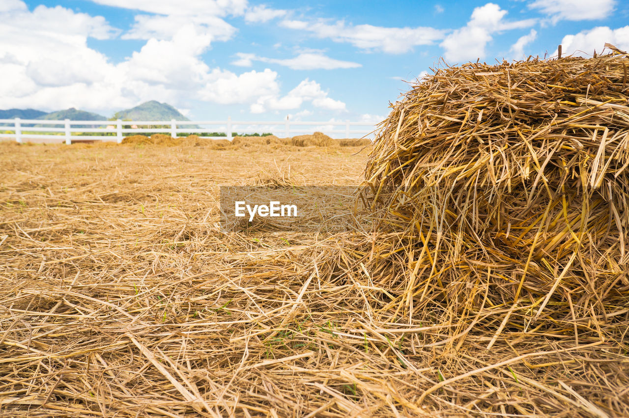 Hay bales on field against sky