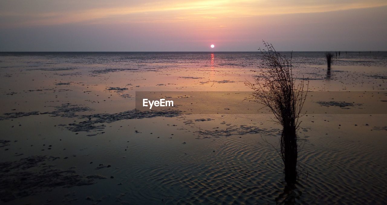 SCENIC VIEW OF BEACH DURING SUNSET