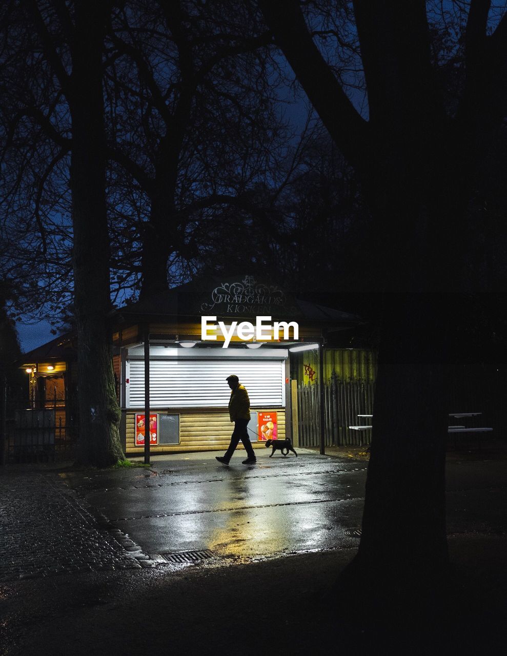 SILHOUETTE MAN IN BUS AT NIGHT