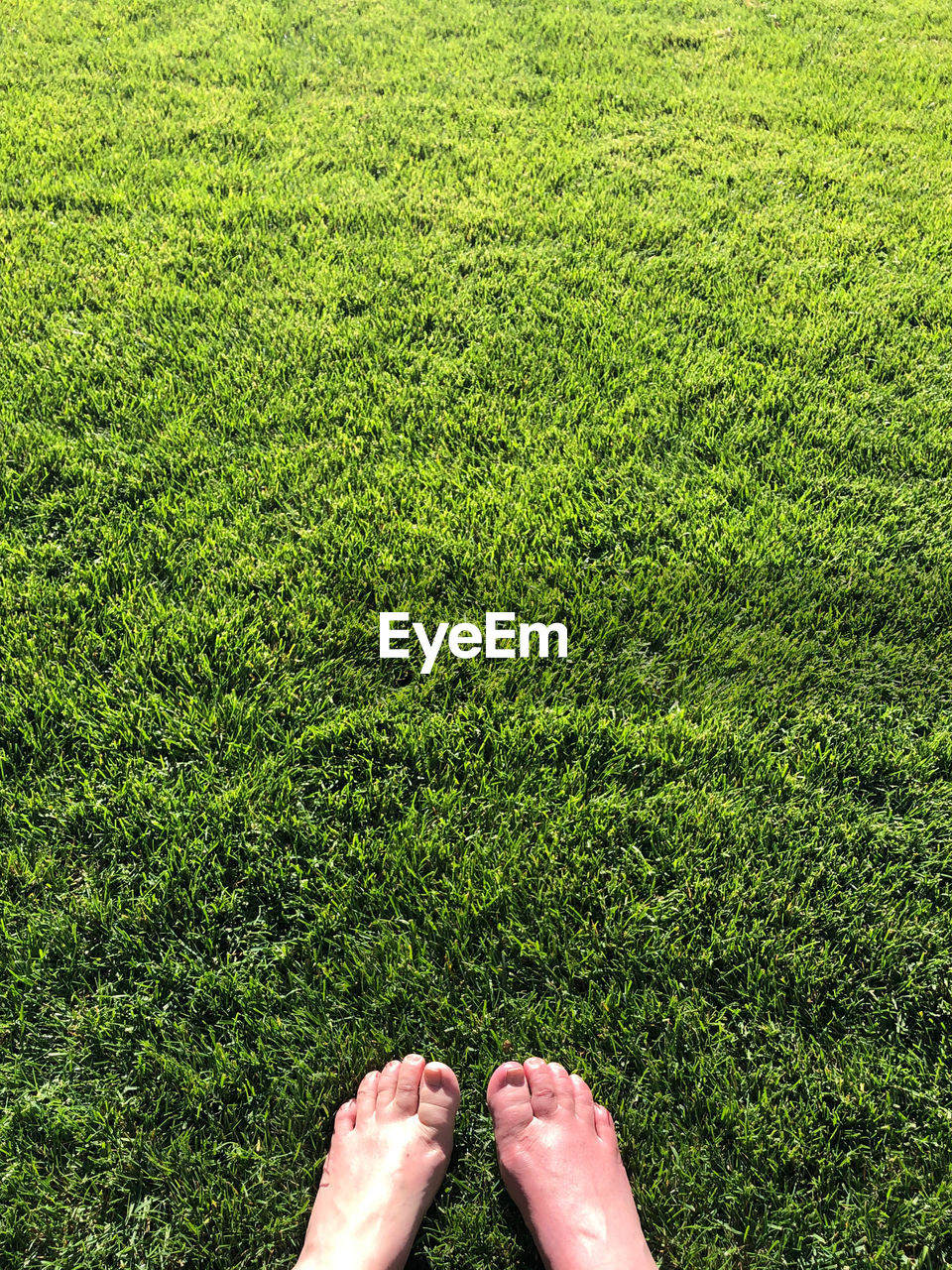 High angle view of barefoot over grassy field