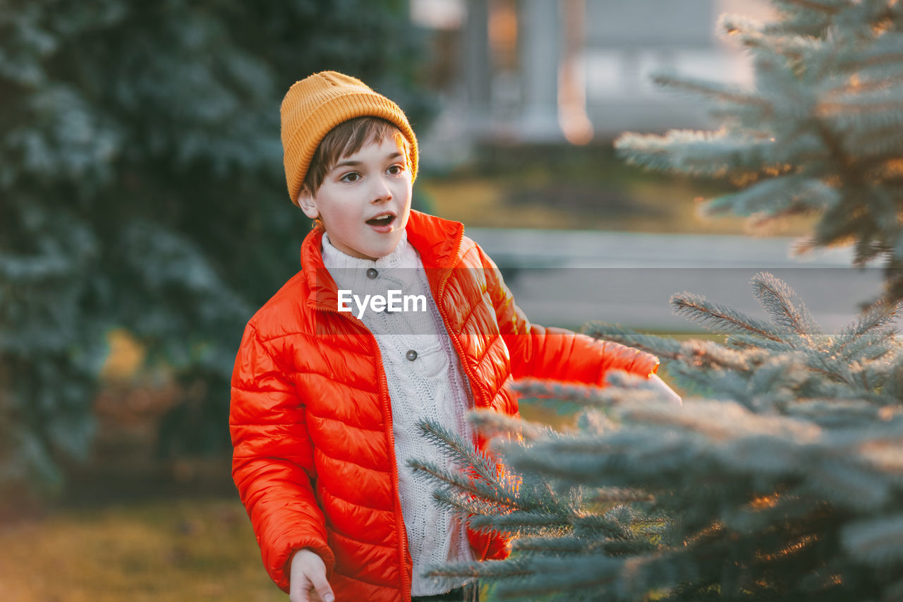 A charming boy walks in the park, happily looks out from behind the christmas tree