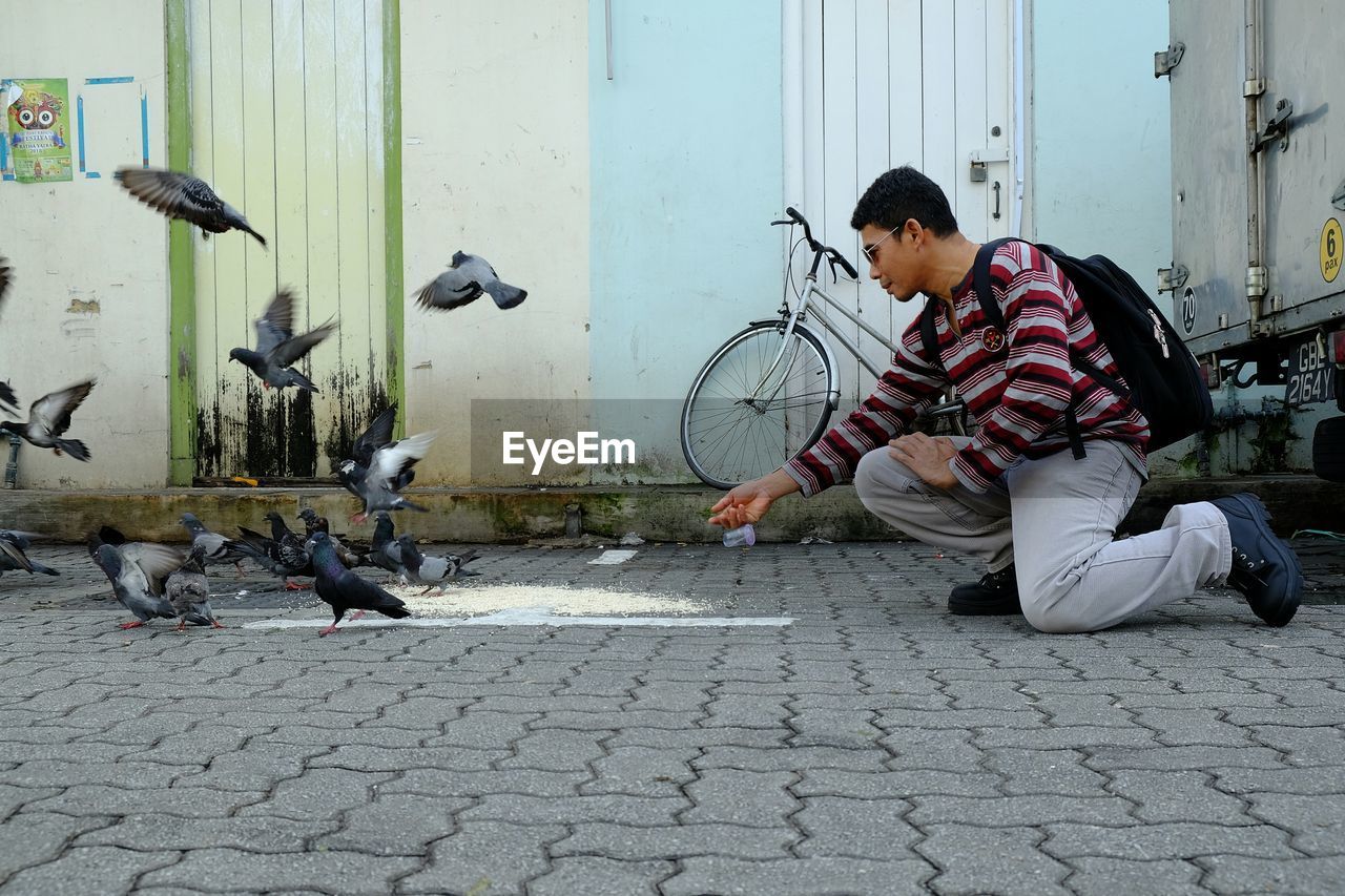 Man feeding birds on footpath