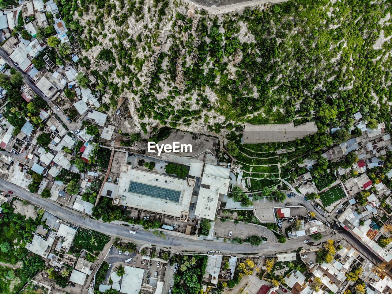 HIGH ANGLE VIEW OF TREES AND BUILDINGS