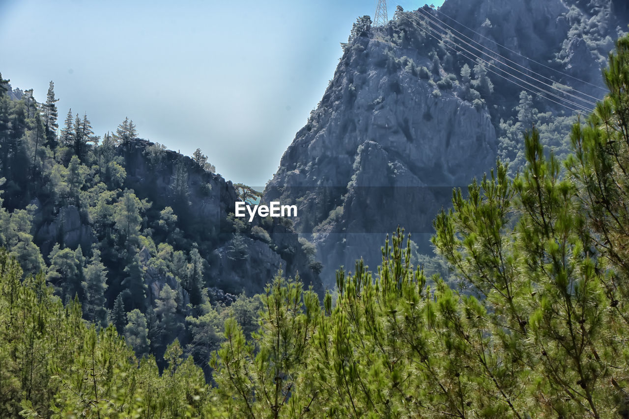 PANORAMIC VIEW OF TREES AND MOUNTAIN AGAINST SKY