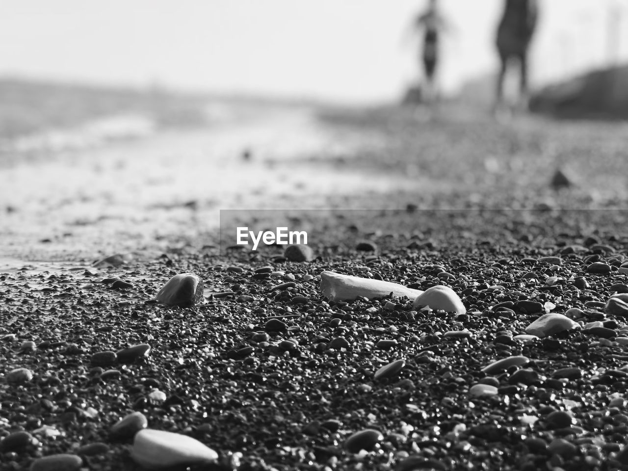 CLOSE-UP OF PEBBLE ON BEACH