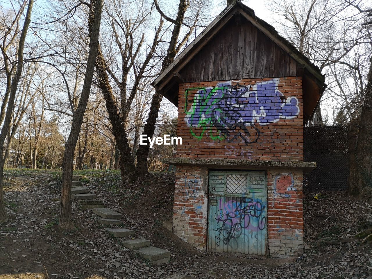 GRAFFITI ON WALL OF BUILDING AND TREES