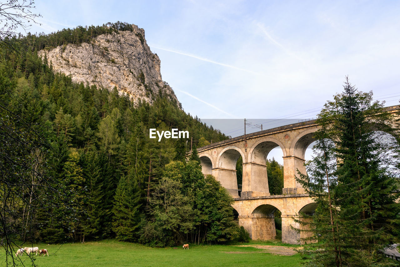 ARCH BRIDGE OVER PLANTS AGAINST SKY