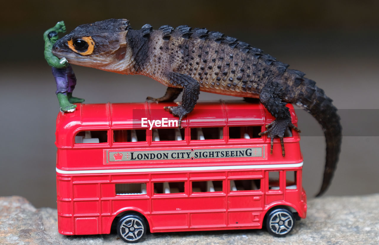 CLOSE-UP OF RED TOY CAR IN A BUS