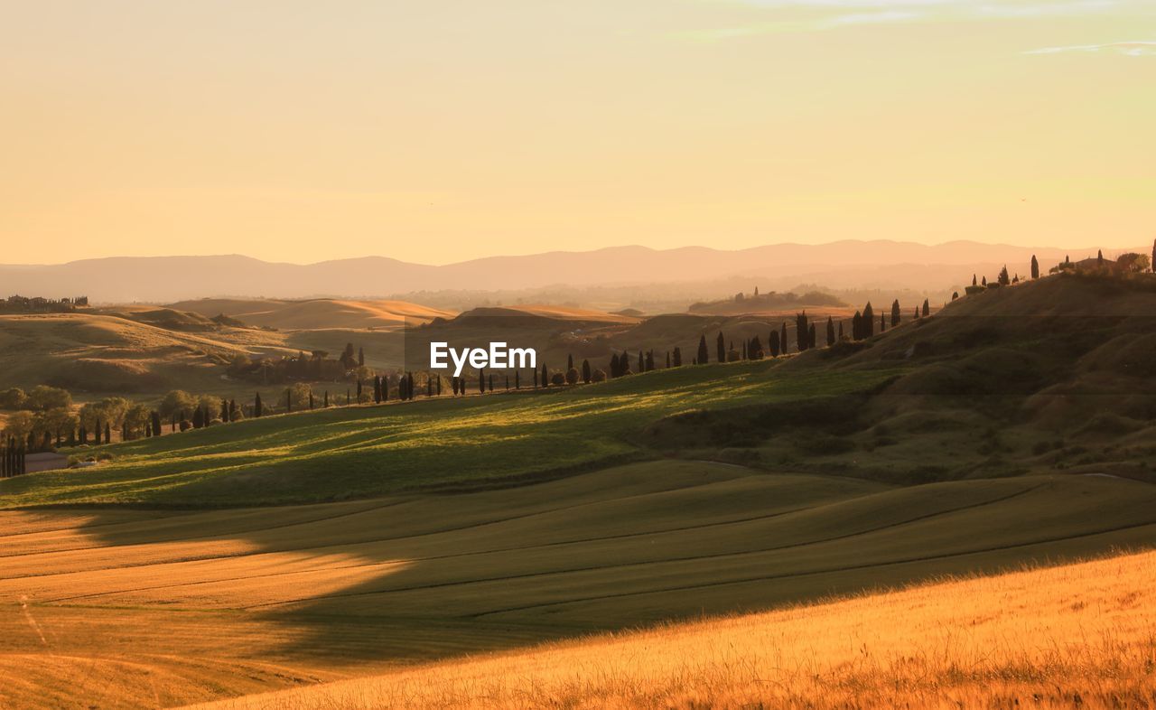 Scenic view of field against sky during sunset