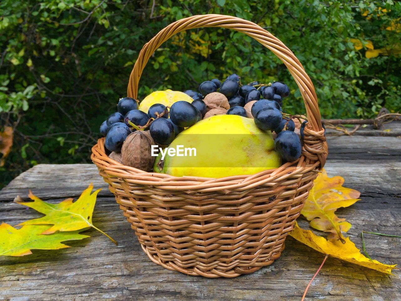 CLOSE-UP OF FRUIT BASKET