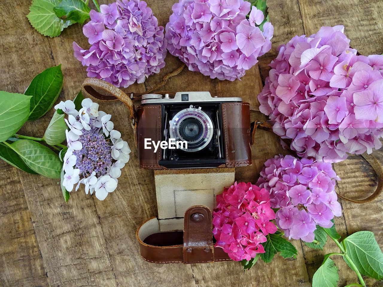 High angle view of pink flowers on table and an retro camera