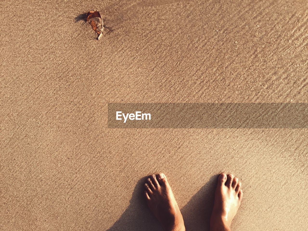 Low section of man standing on sand