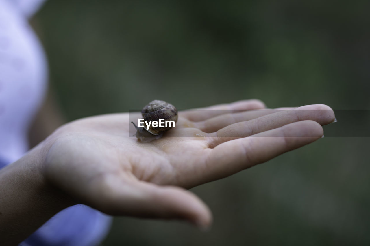CLOSE-UP OF HUMAN HAND HOLDING SMALL