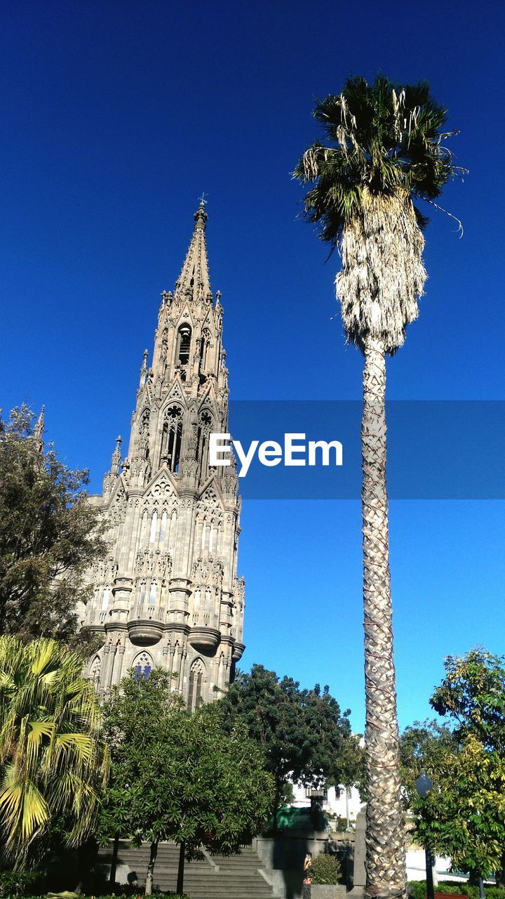 Low angle view of historic church and palm tree against clear blue sky