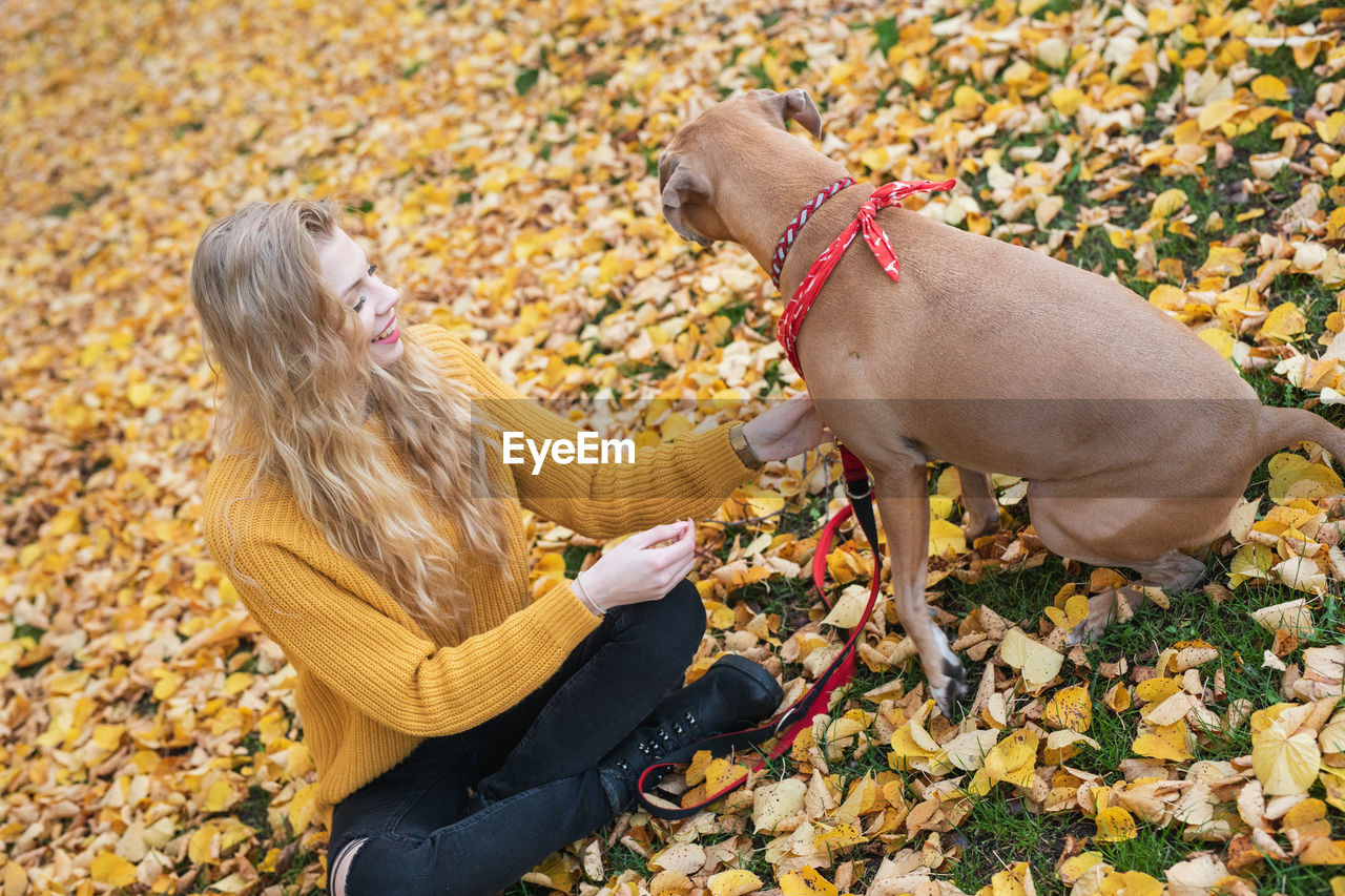 HIGH ANGLE VIEW OF WOMAN WITH DOG ON AUTUMN LEAVES