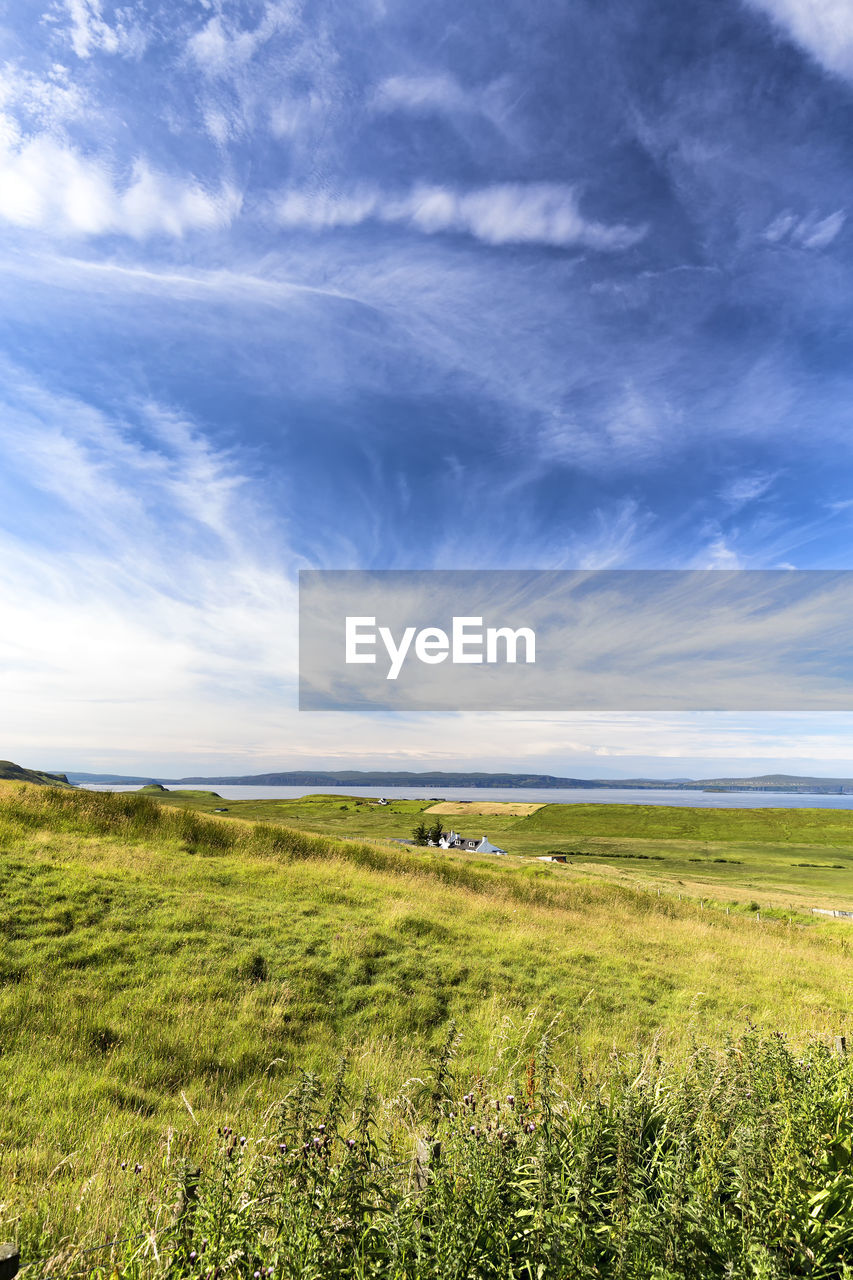 SCENIC VIEW OF GREEN FIELD AGAINST SKY