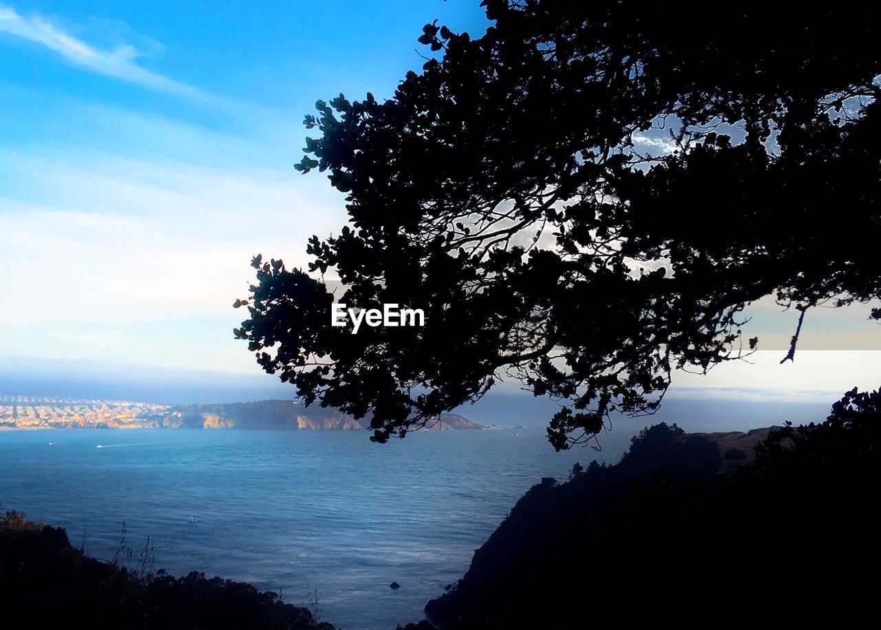 SCENIC VIEW OF LAKE BY SILHOUETTE TREE AGAINST SKY