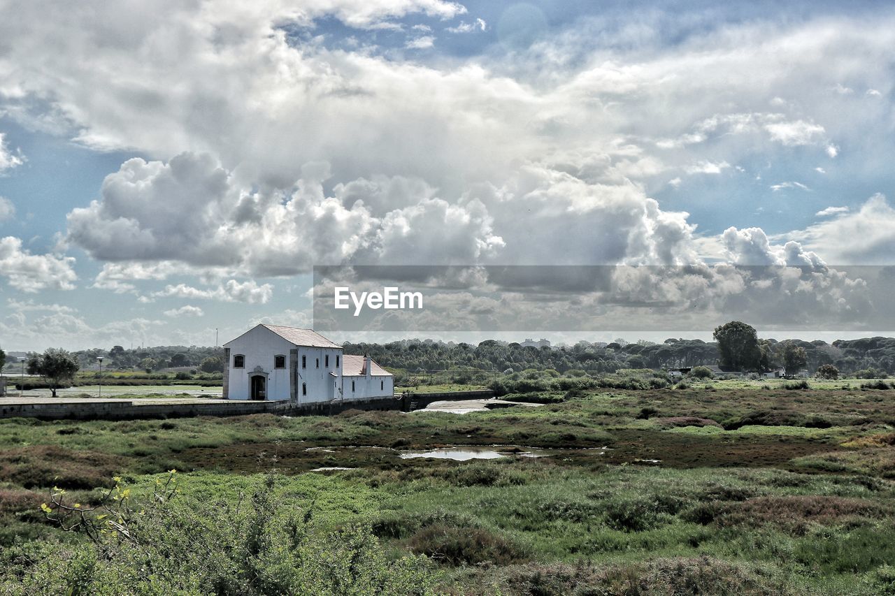 HOUSES BY FIELD AGAINST SKY