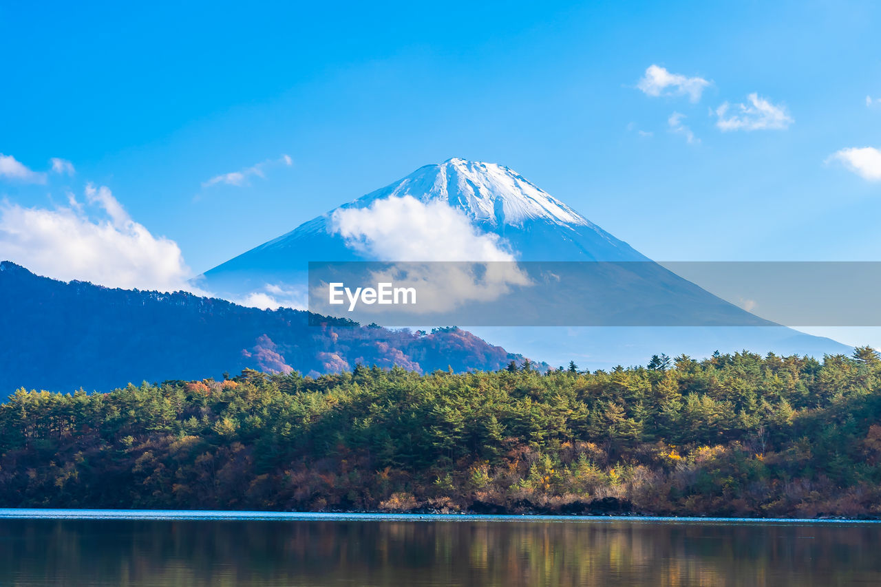 Scenic view of lake by trees against sky