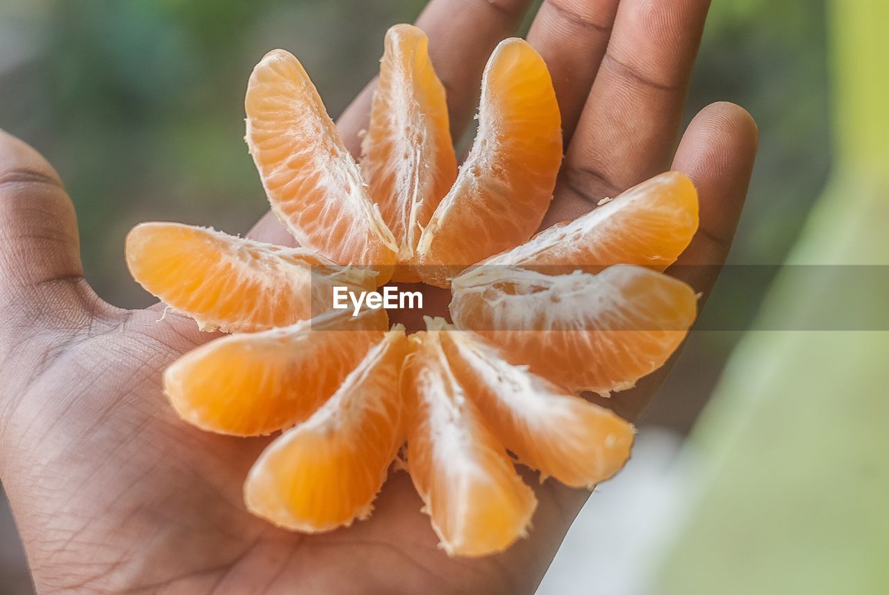 Close-up of hand holding orange pieces
