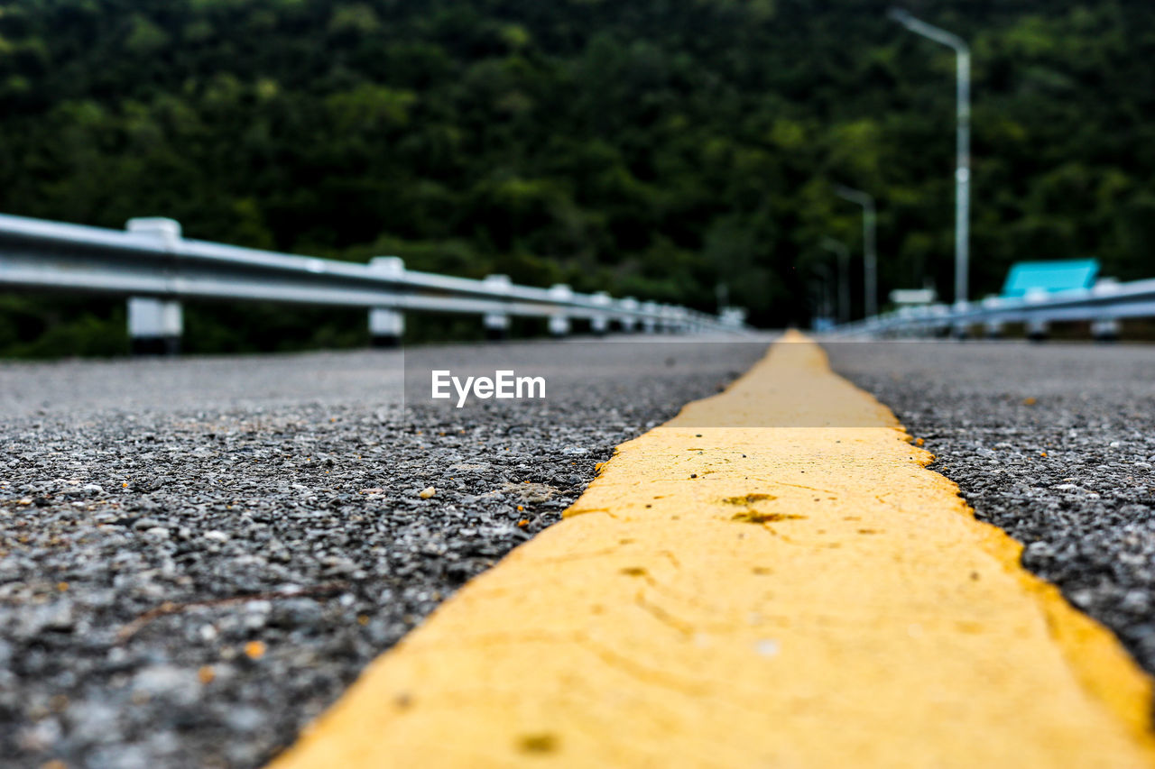 SURFACE LEVEL OF YELLOW ROAD AGAINST TREES