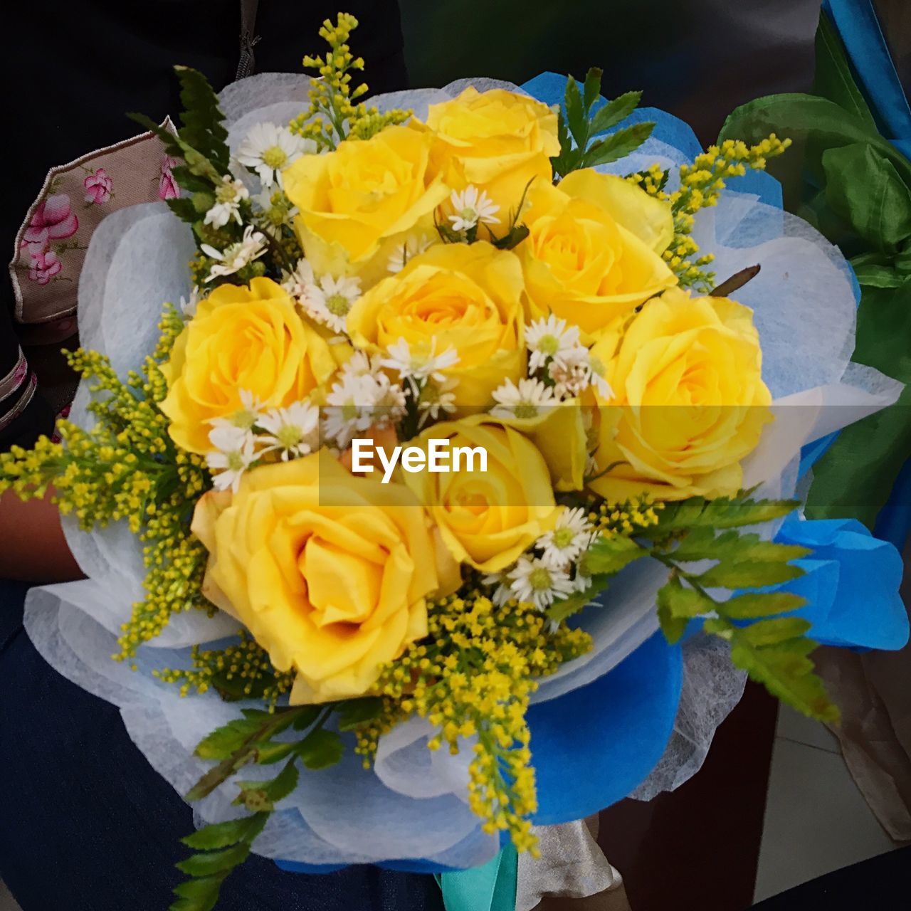 CLOSE-UP OF YELLOW ROSE BLOOMING