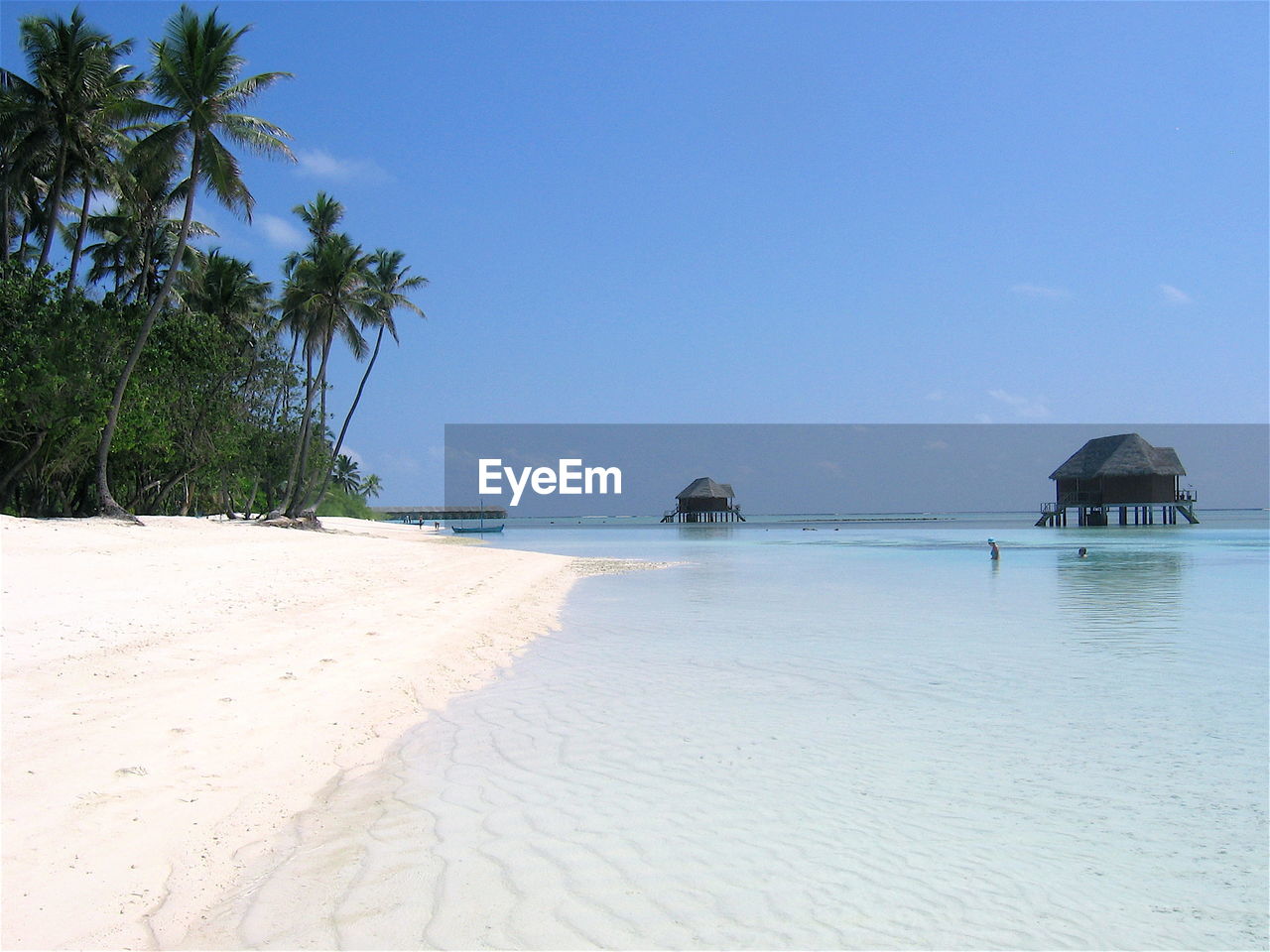 Scenic view of tropical beach