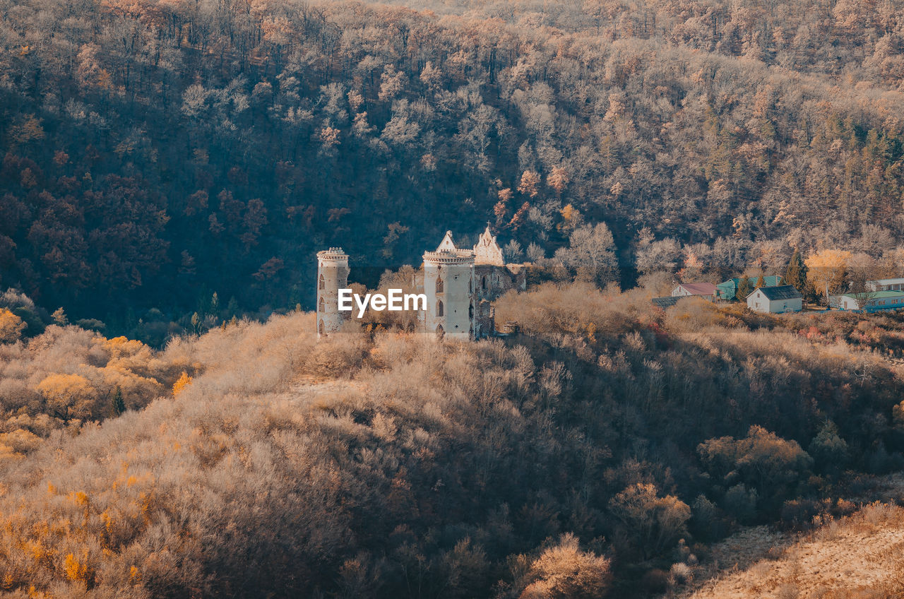 Ancient ruined castle in woods. mystical building. impassable thickets of shrubs.