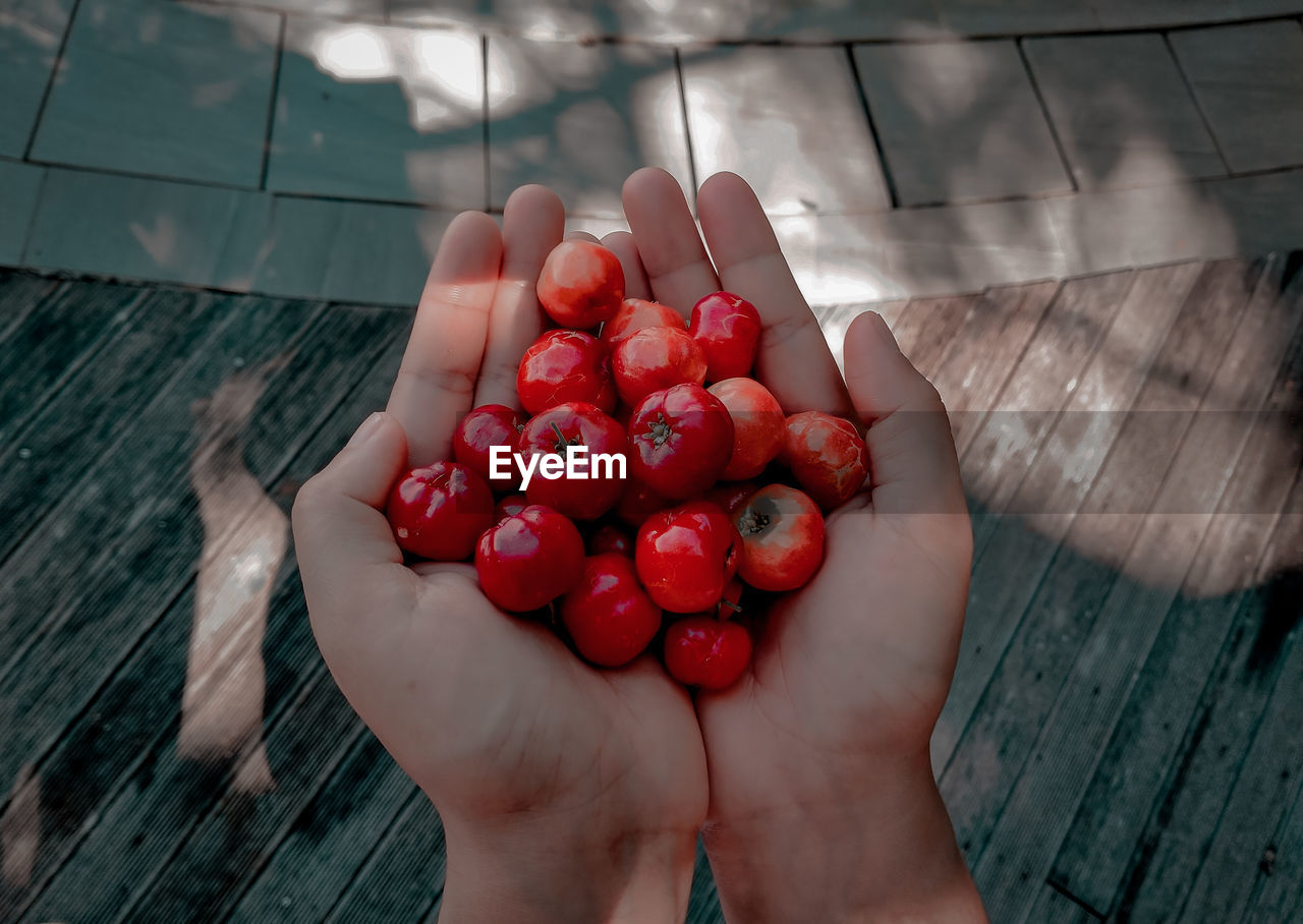 HIGH ANGLE VIEW OF HAND HOLDING RED BERRIES