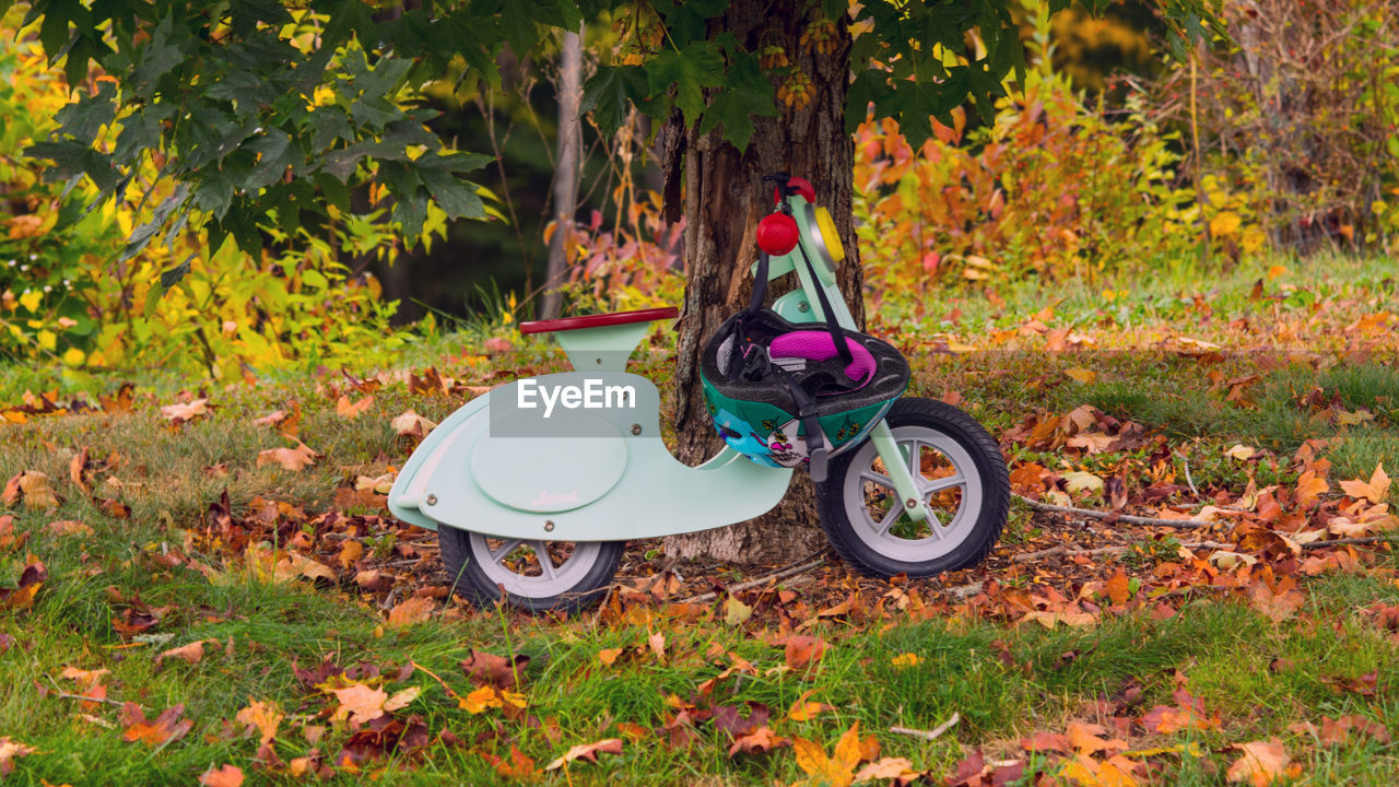 BICYCLE PARKED ON GRASS IN PARK