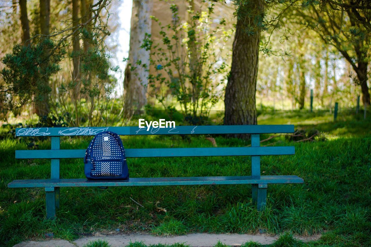 EMPTY PARK BENCH IN PARK