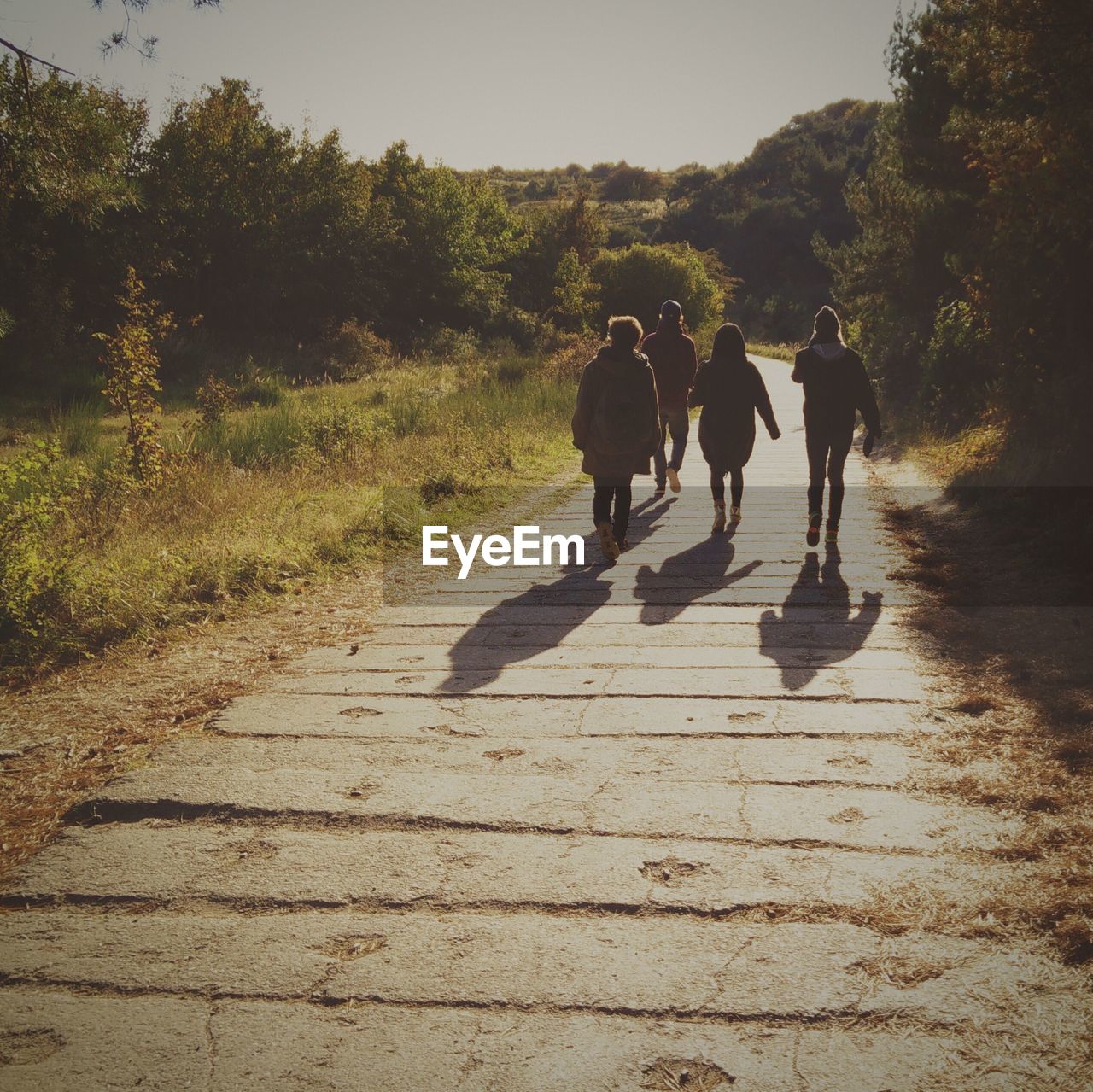 Rear view of people walking on road amidst trees