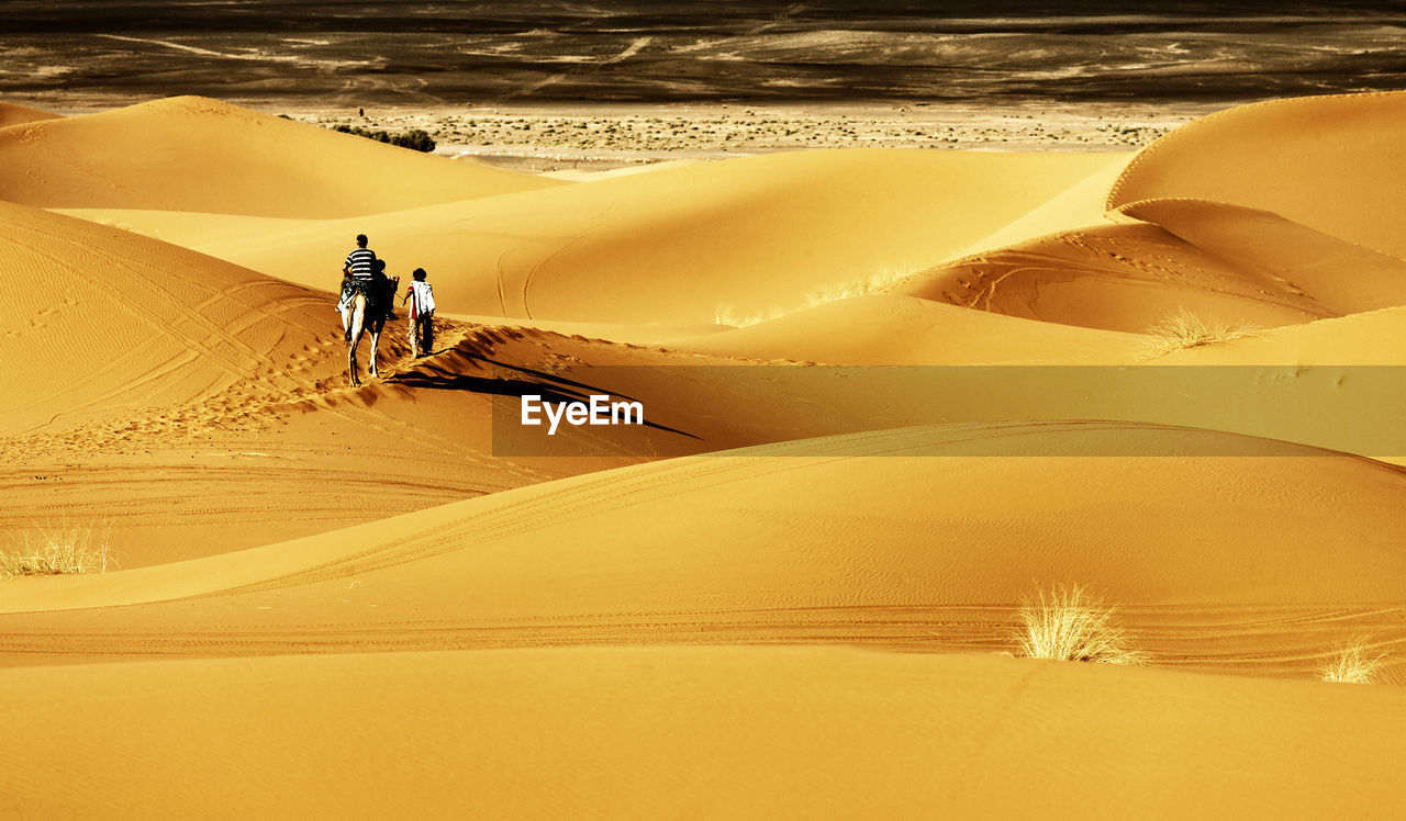 Rear view of people with camel on sand dunes