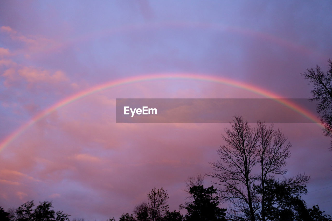 Low angle view of rainbow over trees against sky