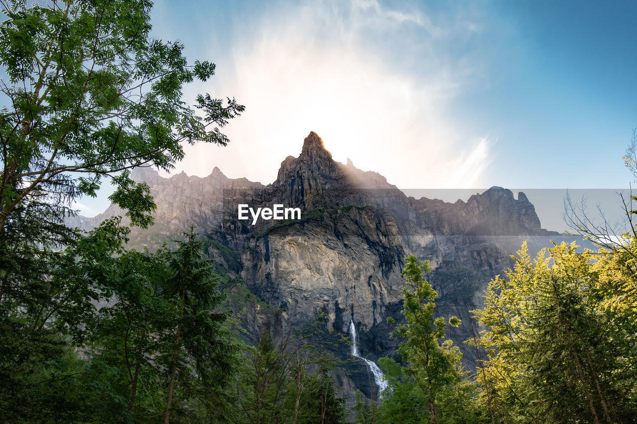 SCENIC VIEW OF MOUNTAINS AND TREES