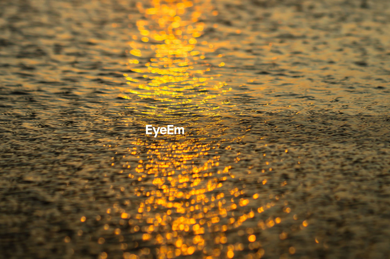 Close-up of yellow water on road