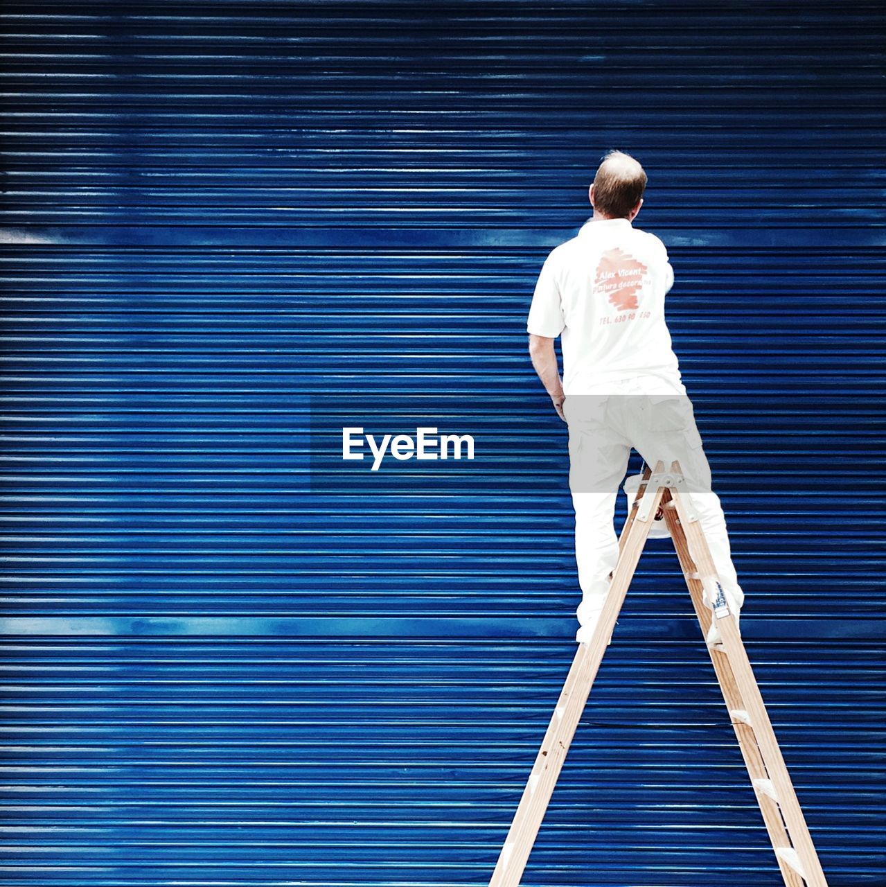 Rear view of man standing on ladder against blue corrugated iron