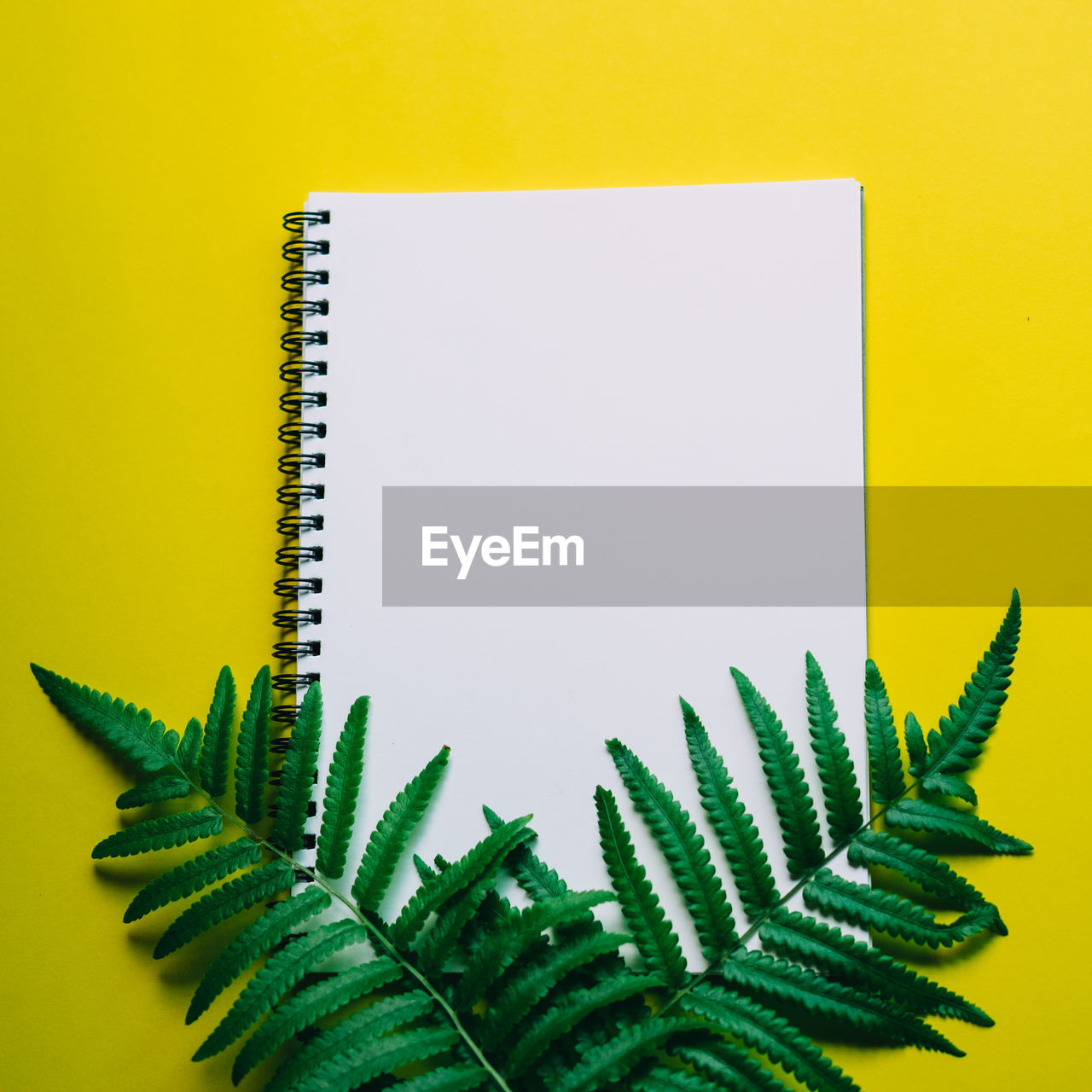 High angle view of note pad and ferns on yellow background