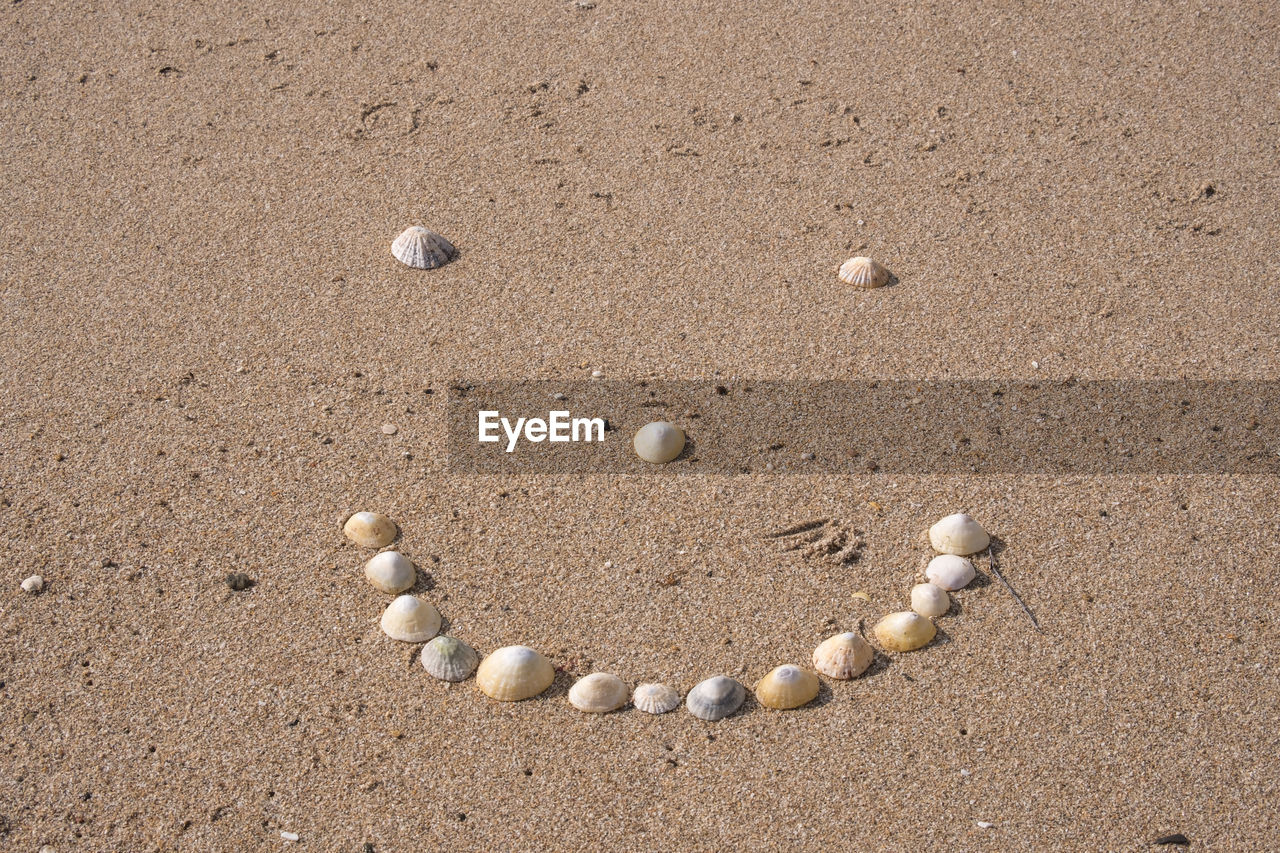 beach, sand, land, nature, no people, high angle view, day, shell, outdoors, tranquility, pebble, shape, footprint