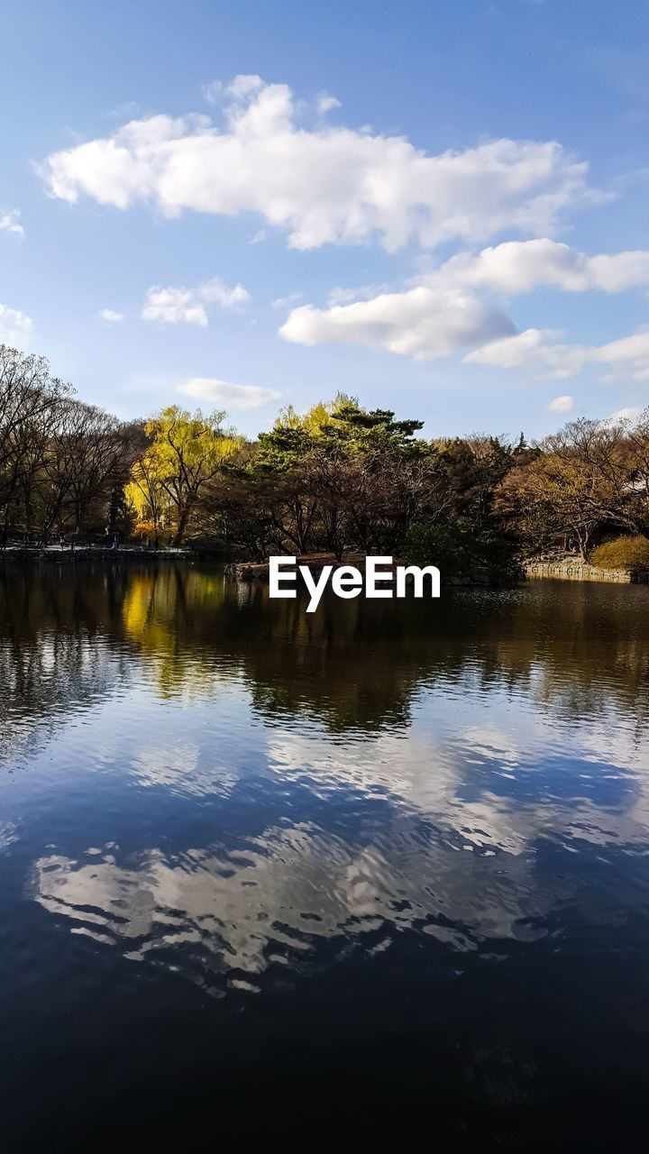 TREES BY LAKE AGAINST SKY