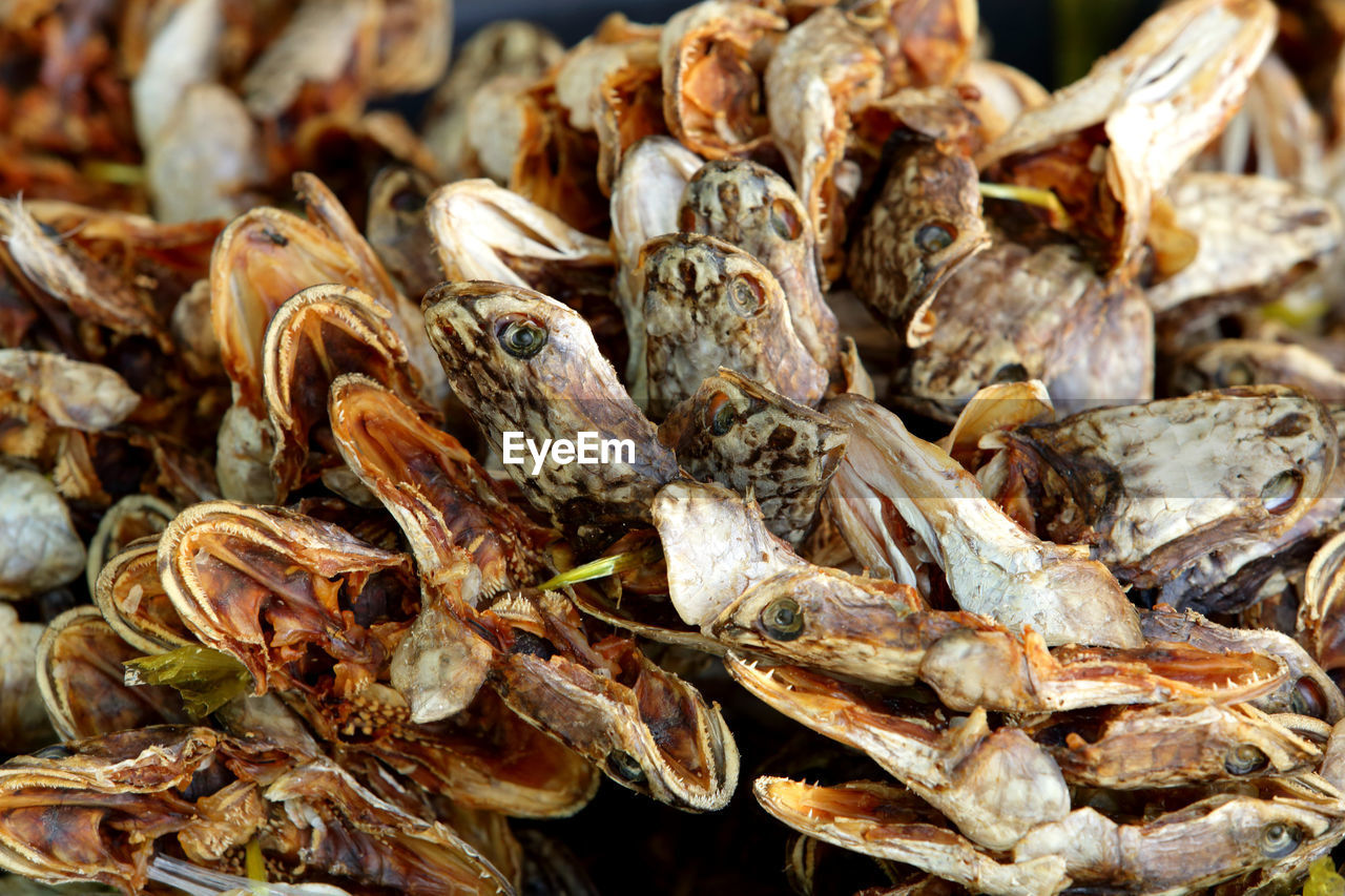 CLOSE-UP OF DRIED FISH FOR SALE IN MARKET