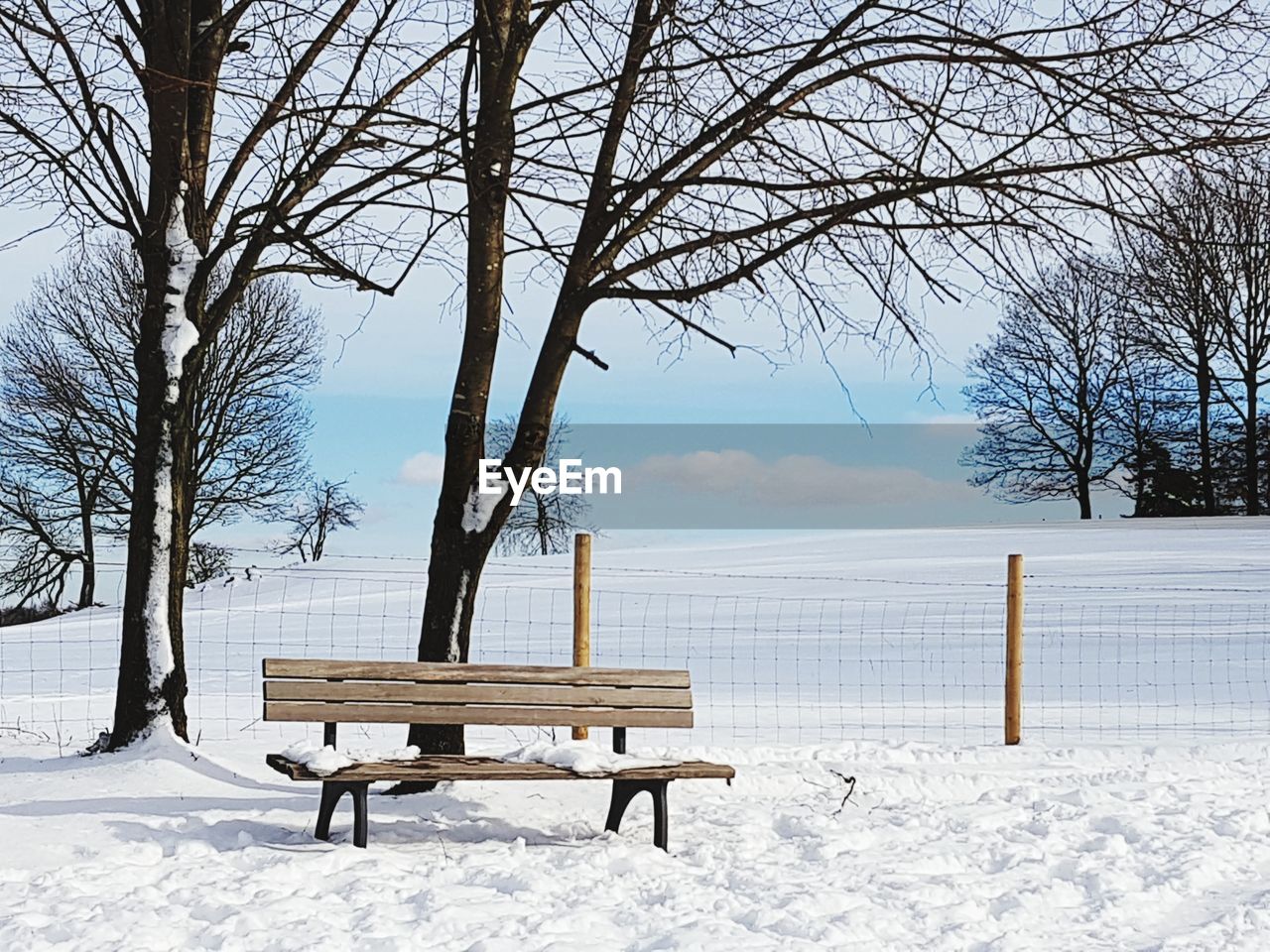 Empty bench in park during winter