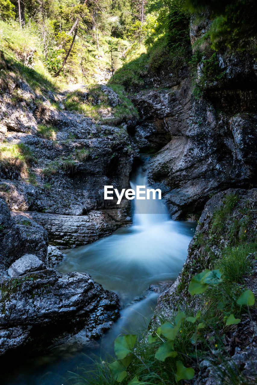 WATERFALL IN FOREST
