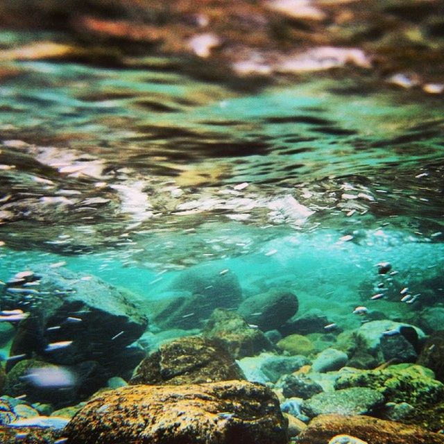 VIEW OF ROCKS IN WATER