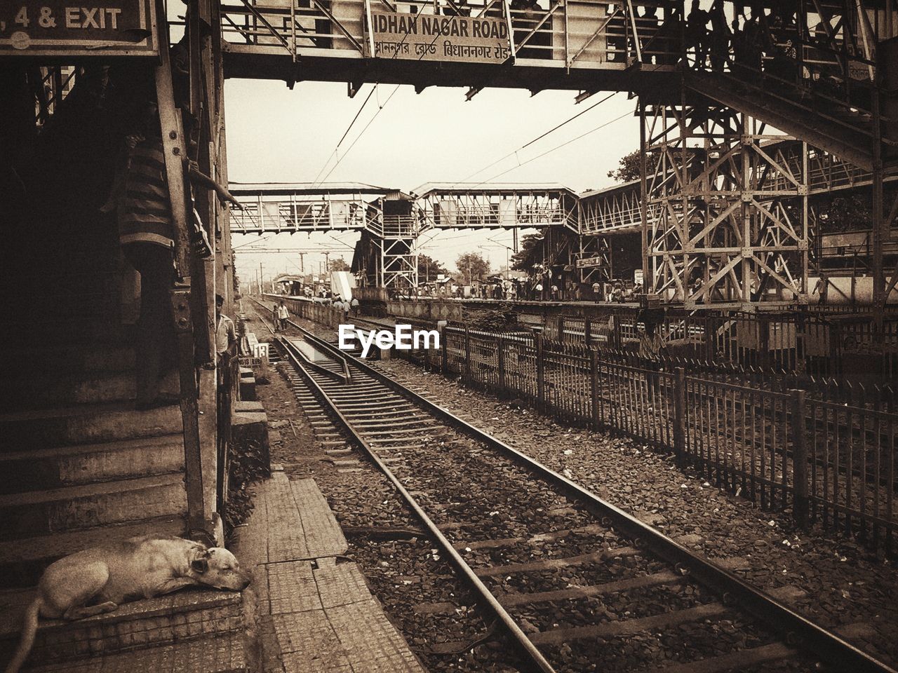 RAILROAD TRACKS ON RAILROAD STATION PLATFORM