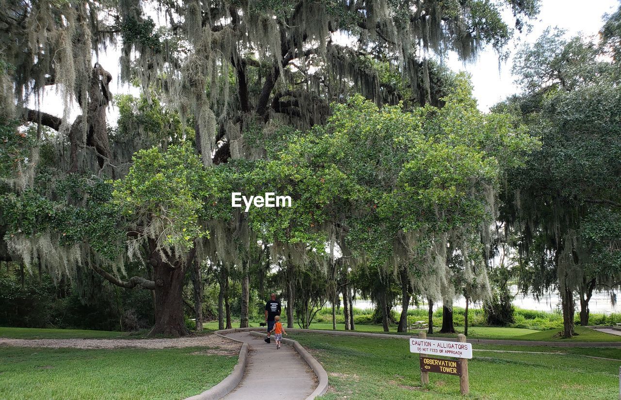 Rear view of father and son walking at park