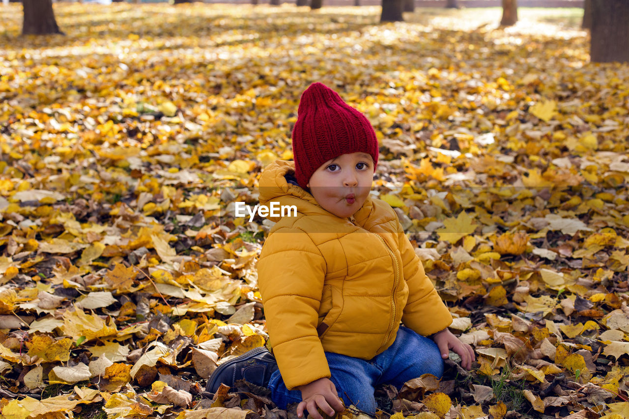 Boy in a yellow jacket and a red knitted hat sit in the autumn forest