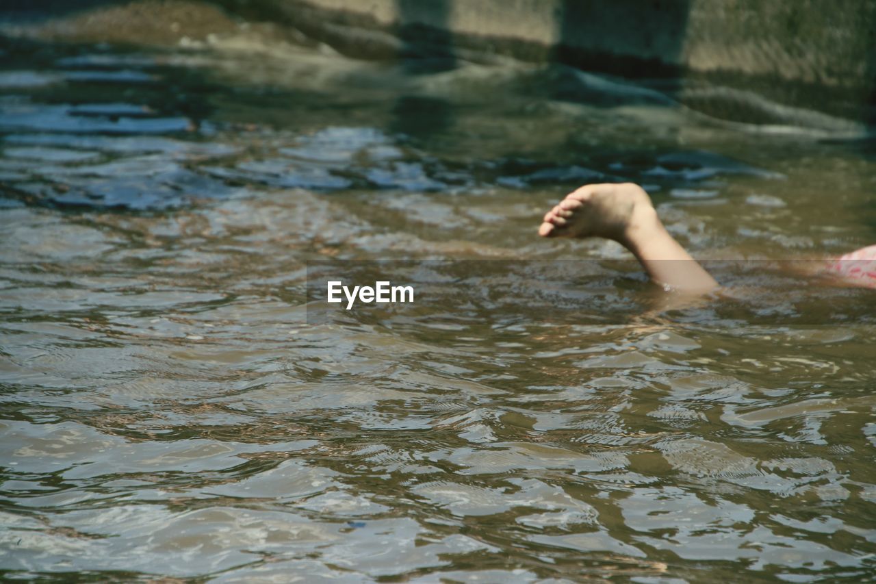 View of a person swimming in lake