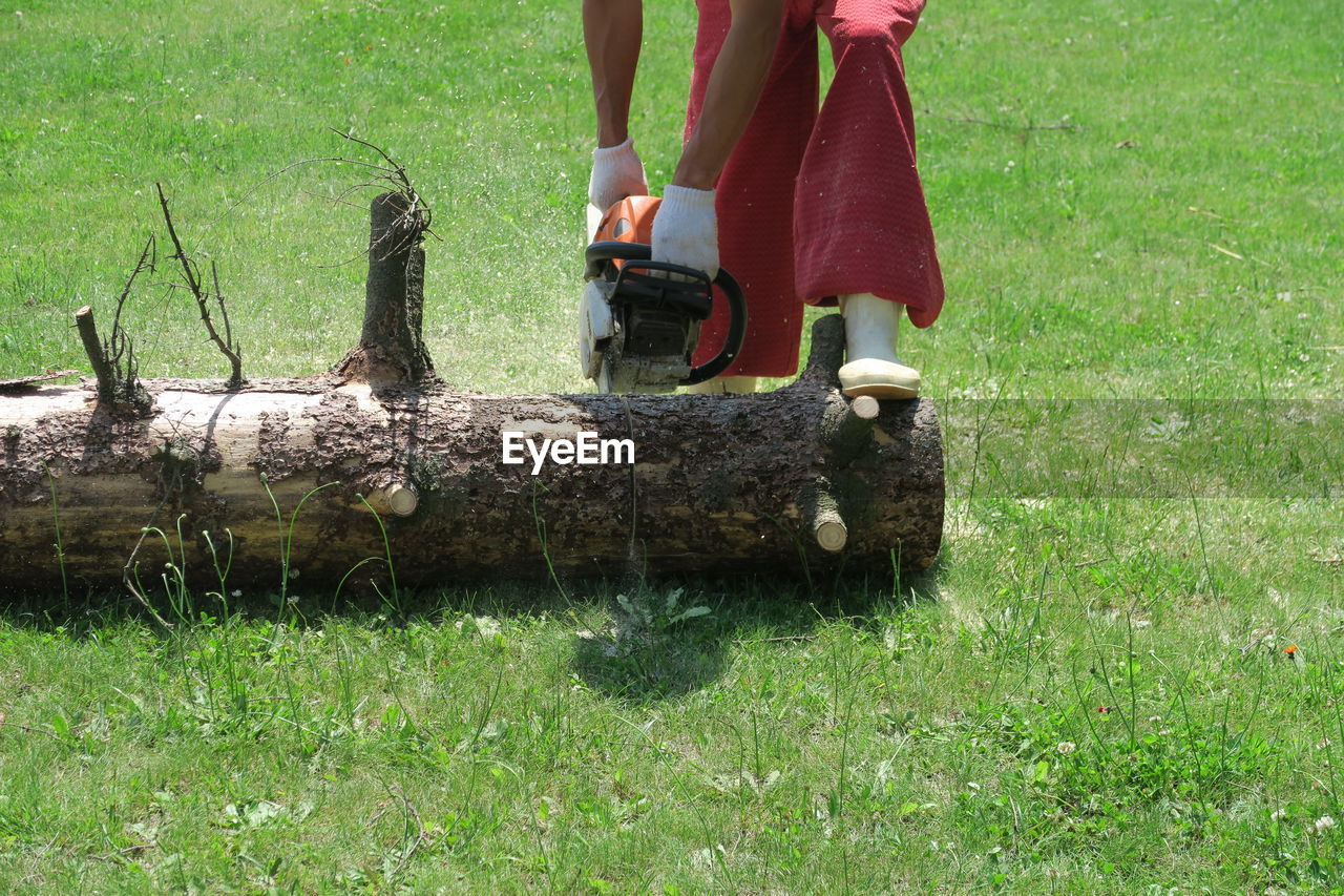 Low section of man cutting log on lawn